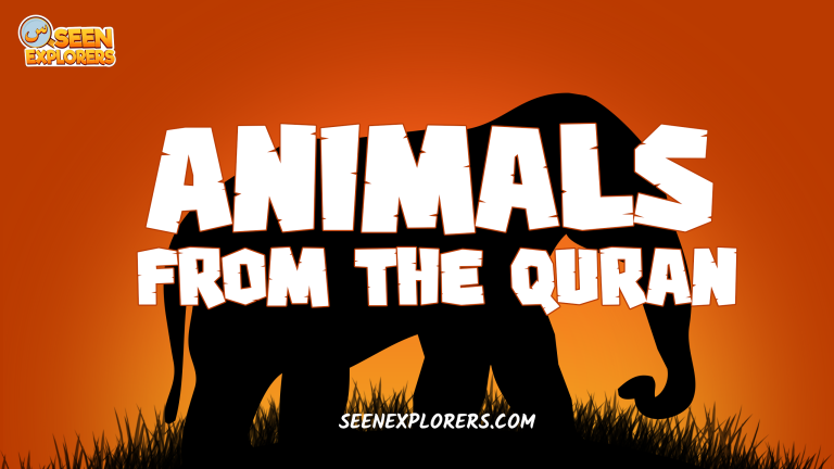 Animals from the Quran